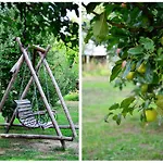 Stupina