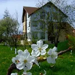 Pensjonat Stupina Braszów
