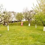 Pensjonat Stupina Braszów