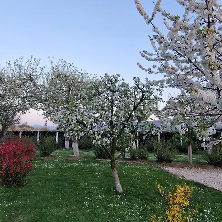 Pensiune Stupina Brașov