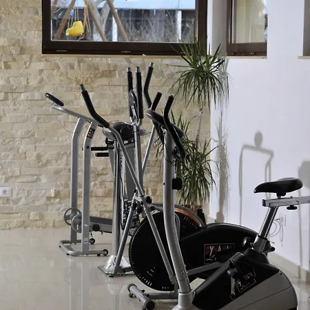 Stupina 布拉索夫