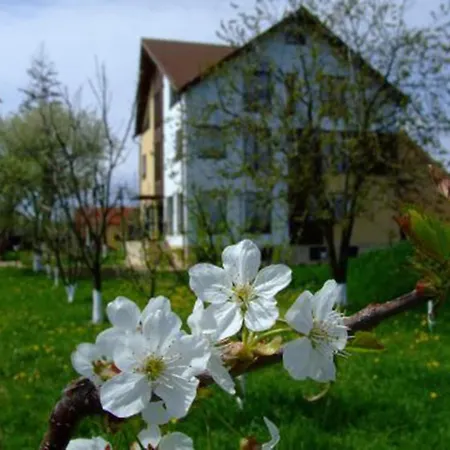 招待所 Stupina 布拉索夫