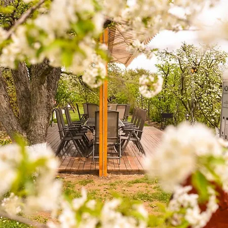 Stupina 布拉索夫