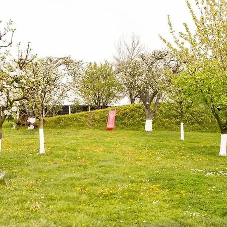 招待所 Stupina 布拉索夫