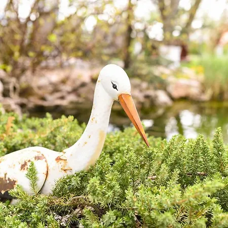 Stupina 布拉索夫