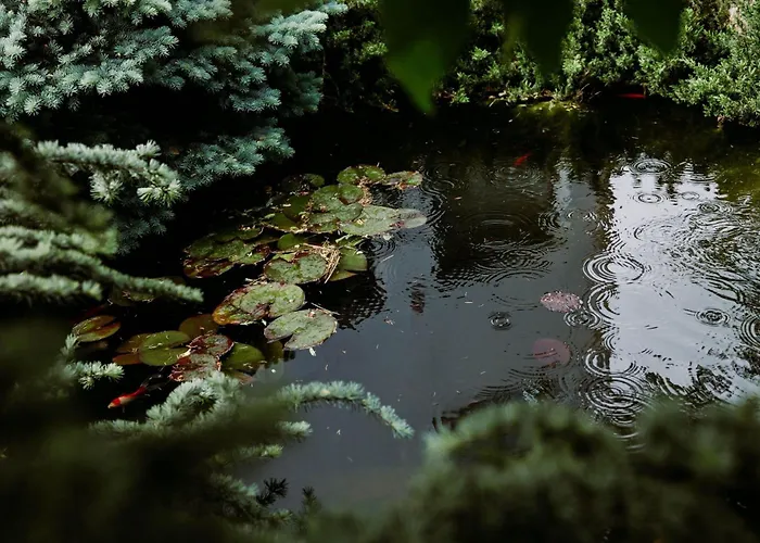 Stupina Pensión Braşov