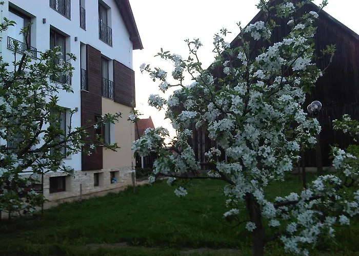 Guest house Stupina 3*