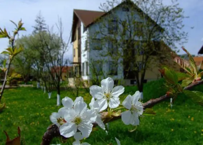 Pensionat Stupina Braşov