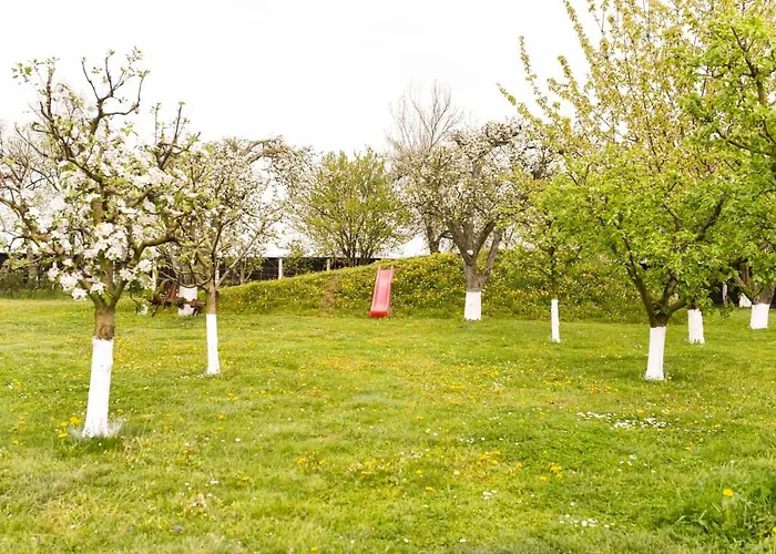 Pensión Stupina Braşov